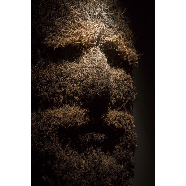 Aruspice #8, detail